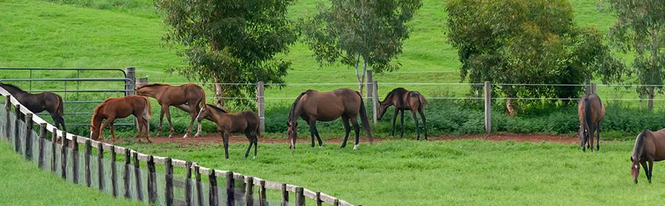 Zu Ihrer Information: